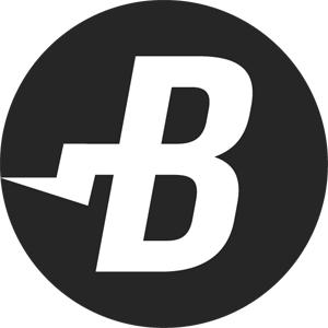 logo BurstCoin