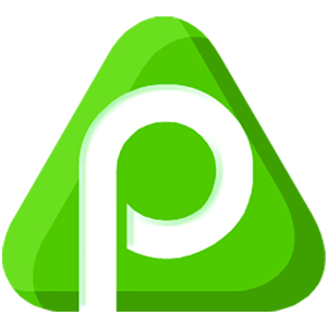 Логотип PayPeer