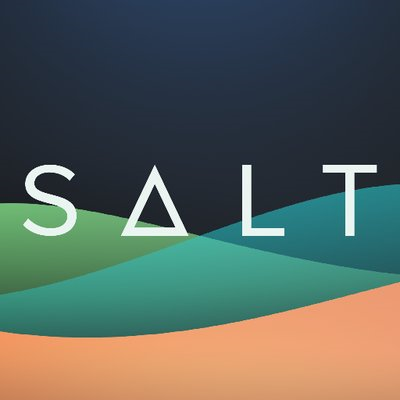 Логотип Salt Lending