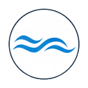 Логотип WavesGO
