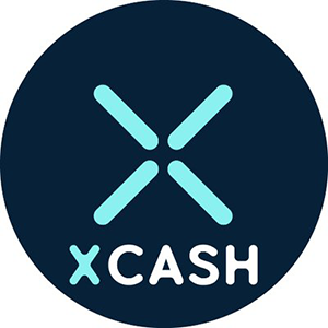 Логотип Xcash